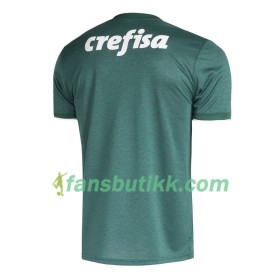 Fotballdrakt Palmeiras 2018/19 Hjemmetrøye Kortermet